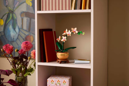 LEGO® Botanicals™ 10343: Miniatyrorkidé