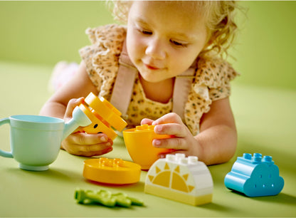 LEGO® Duplo® 10981: Gulrot som vokser