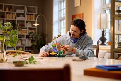 LEGO® Botanicals™ 11505: Skogsopp