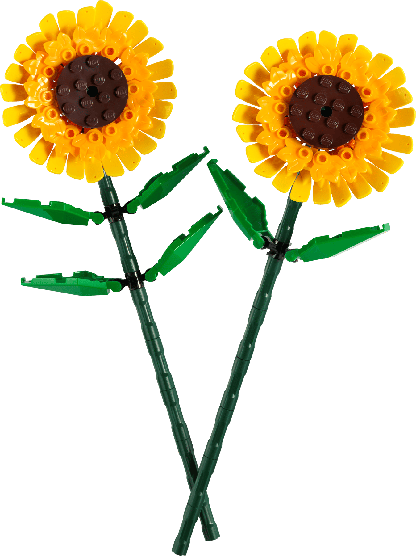 LEGO® Botanicals™ 40524: Solsikker