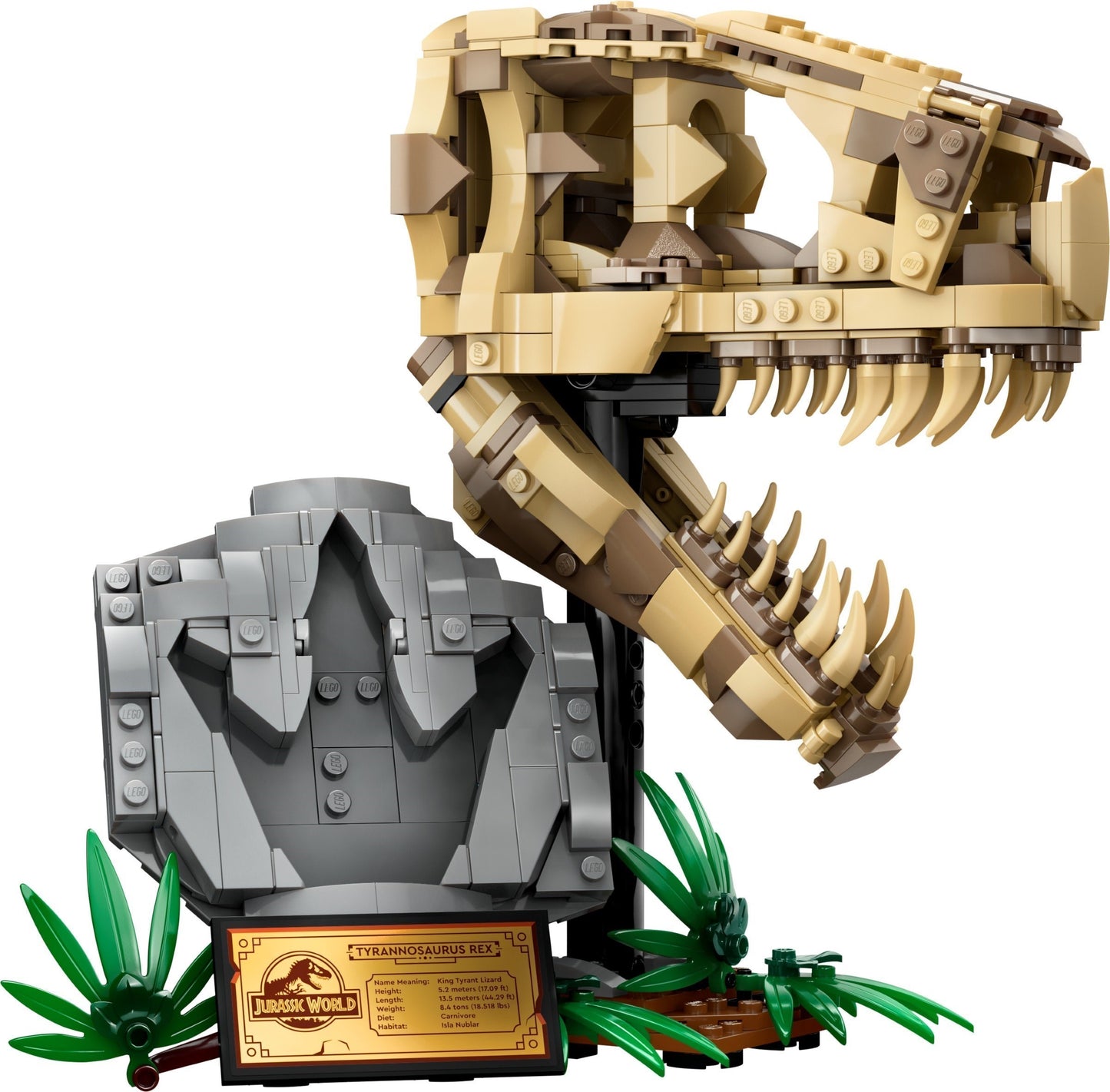 LEGO® Jurassic World 76964: Dinosaurfossiler: T. rex-hodeskalle