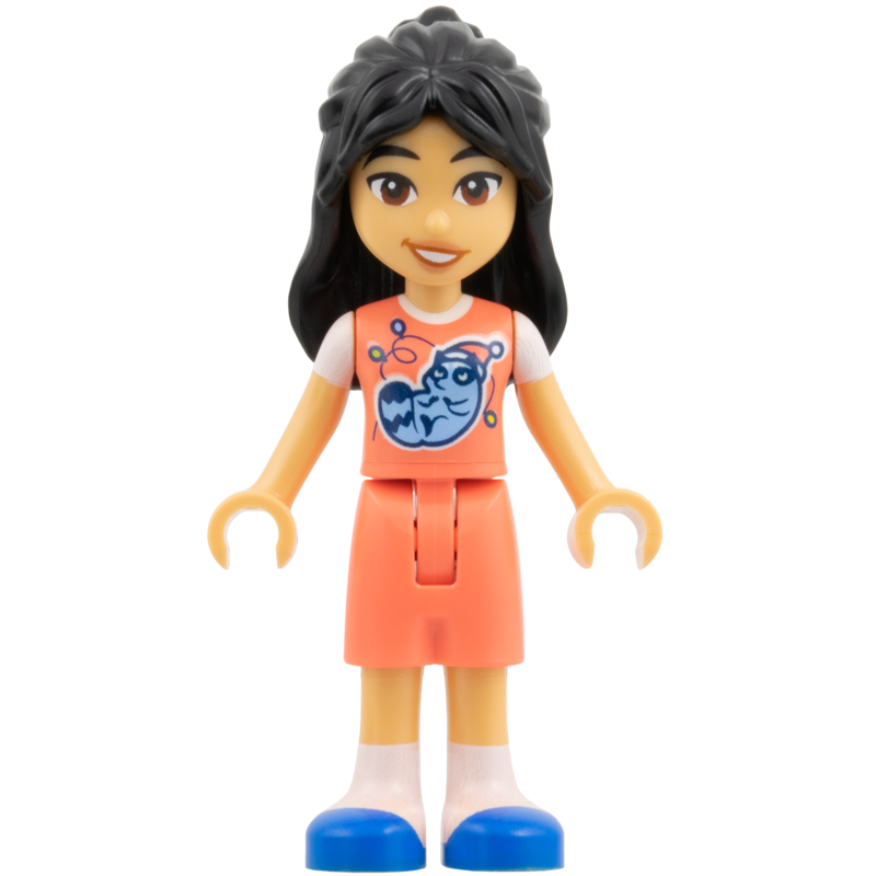 LEGO® Friends™ FRND0856: Liann
